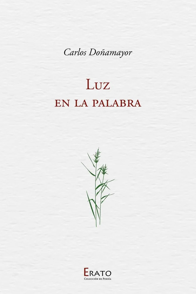 Luz en la palabra