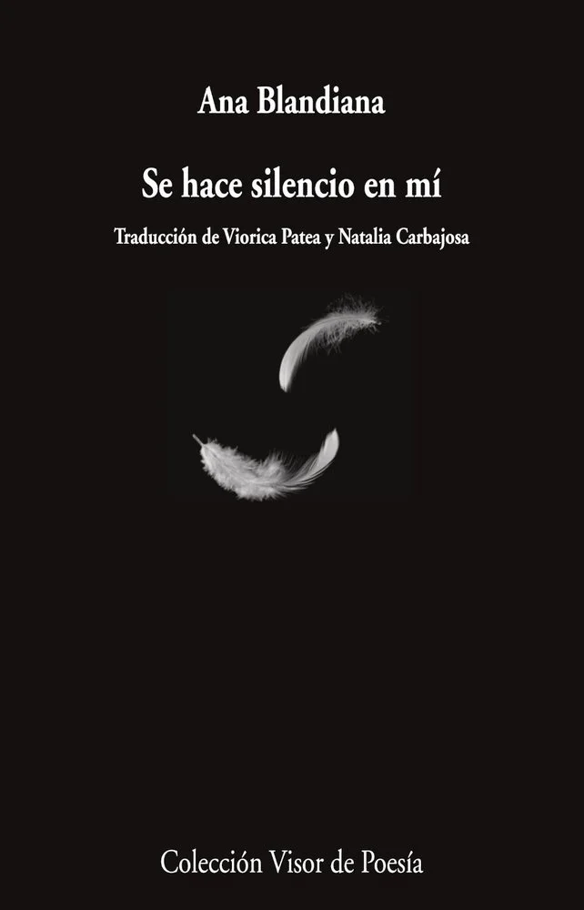 Se hace silencio en mí