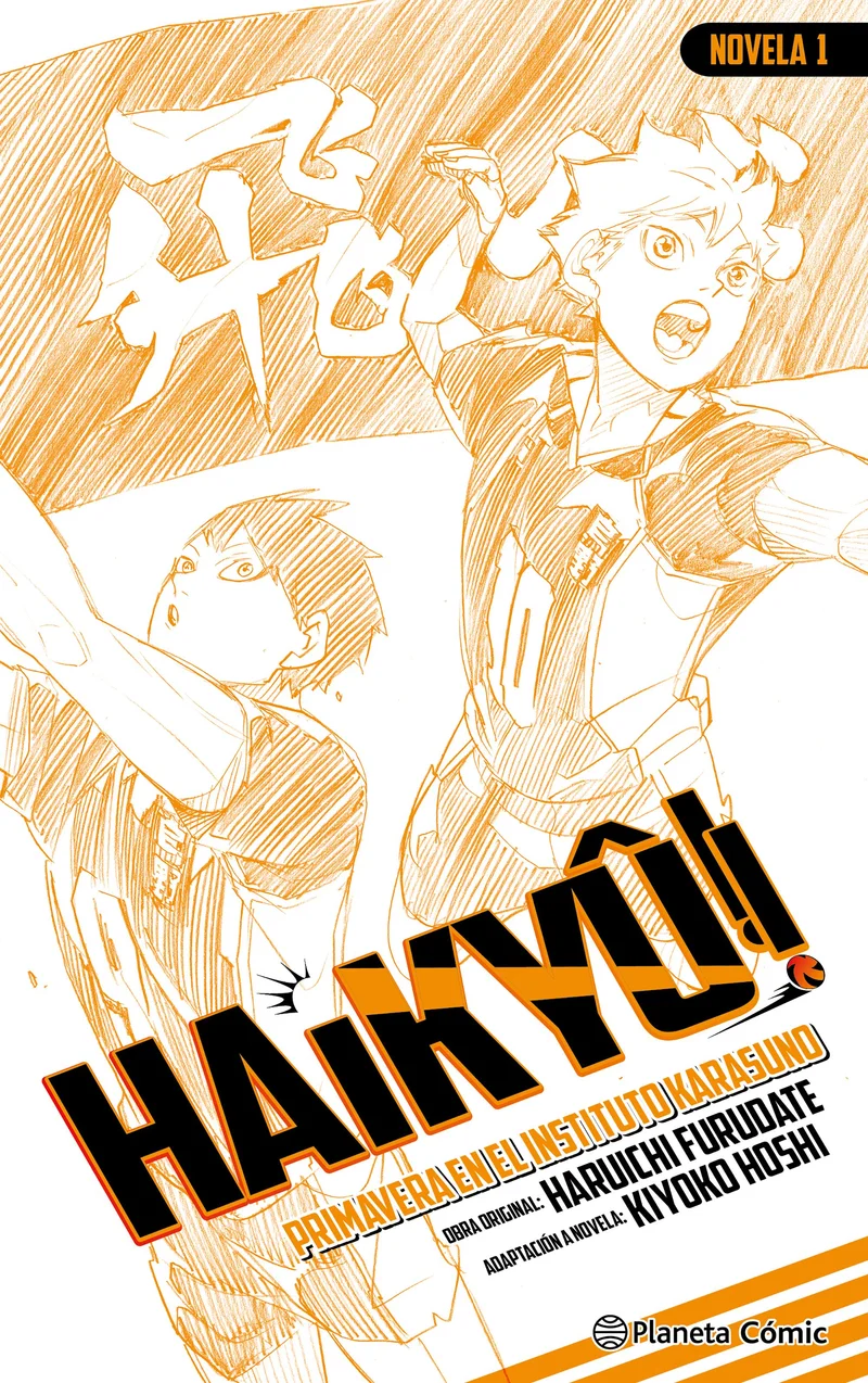 Haikyû!! (Novela) nº 01