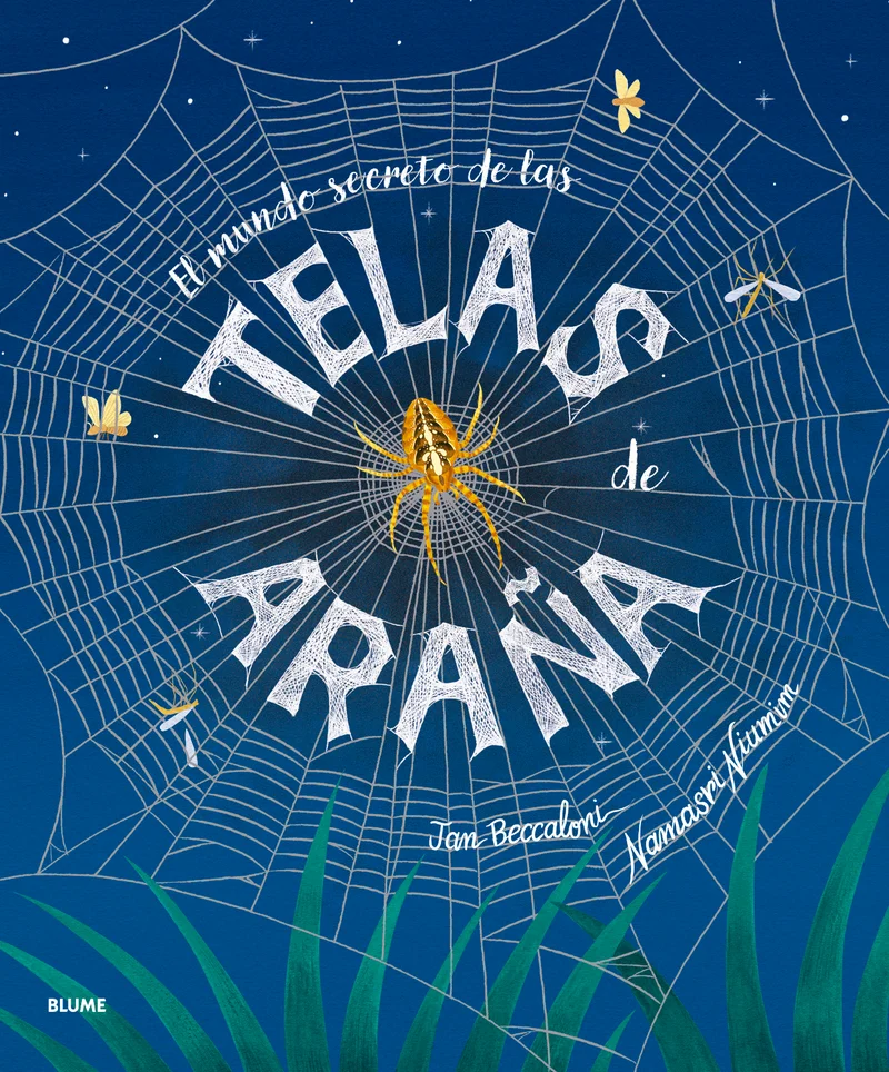 El mundo secreto de las telas de araña